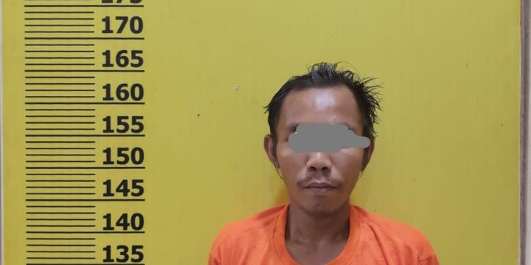 Polres Pelalawan amankan Pencurian Buah Kelapa Sawit di PT. Costa Kerumutan Pelalawan