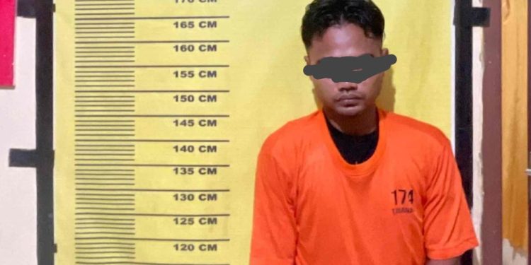 Pencurian Buah Kelapa Sawit di Kerumutan, Pelalawan, Berhasil Digagalkan