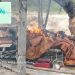 Polsek Kuantan Tengah Bersama Sat Reskrim Polres Kuansing Tertibkan Aktivitas PETI