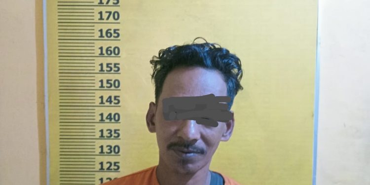 Polsek Bunut amankan tetsangka Pencurian Buah Kelapa Sawit di PT. Serikat Putra, Pelalawan