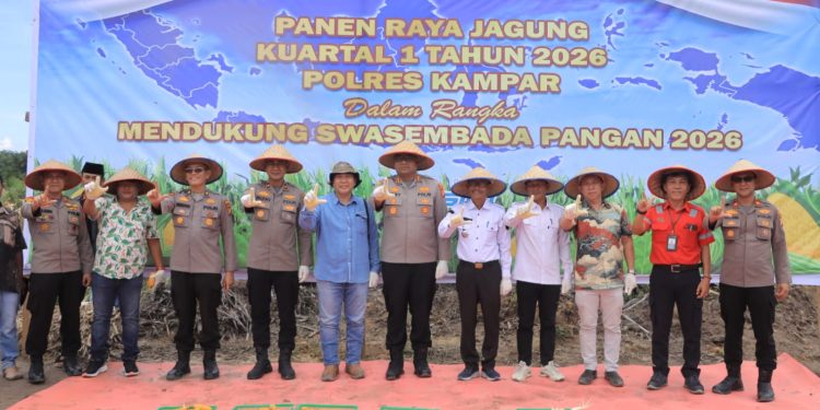 Kapolres Kampar Hadir Saksikan Panen Jagung Pipil dan Dukung Swasembada Pangan