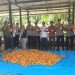Panen Jagung 4 Ton di Rambah, Sinergi Polsek Rambah dan Petani Wujud Nyata Swasembada Pangan 2026