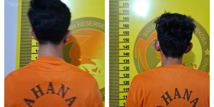 Polsek Benai Gagalkan Peredaran 18,4 Kg Ganja, Dua Kurir Diamankan di Jalur Lintas Kuansing–Inhu