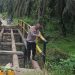 Pembangunan Jembatan Sei Silam di Pulau Jambu Capai 5 Persen, Warga Sambut Antusias