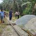 Progres Pembangunan Jembatan Desa Pulau Jambu Capai 5%, Kapolres Kampar Pantau Langsung Hari Ke-5