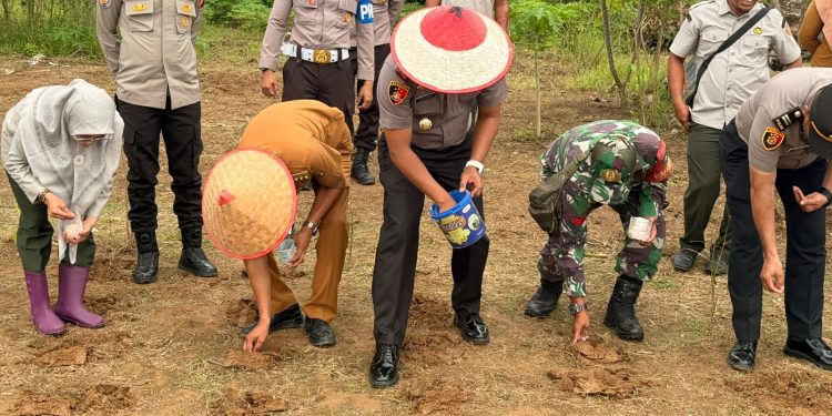 Polsek Cerenti Dukung Swasembada Pangan 2026, Tanam Jagung Pipil di Desa Kampung Baru