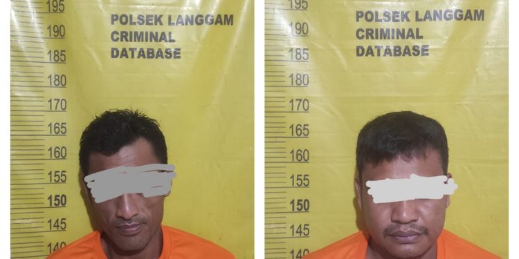 Dua Pria Diamankan Polsek Langgam, Curi 48 Tandan Sawit PT MUP Senilai Rp3 Juta