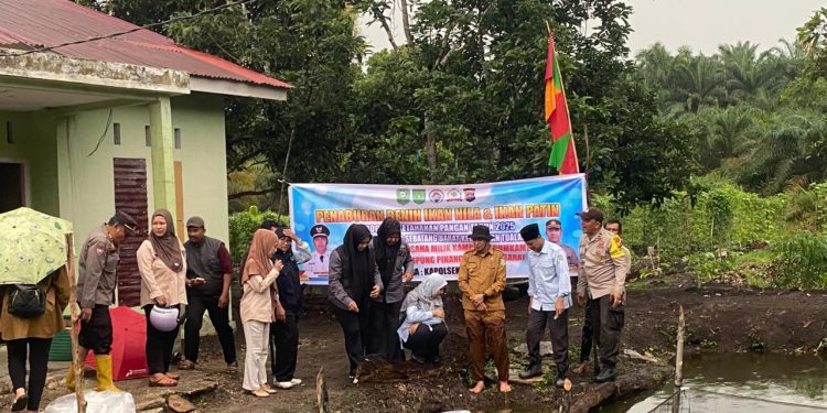 Perkuat Ketahanan Pangan, Polsek Tualang Tebar 8.000 Bibit Ikan Patin di Kampung Pinang Sebatang Barat