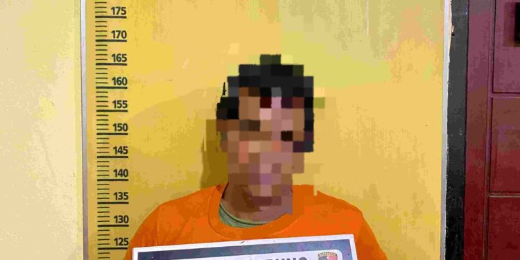 Polsek Tapung Tangkap Narkoba, Warga Desa Sumber Makmur Apresiasi Kinerja Polisi
