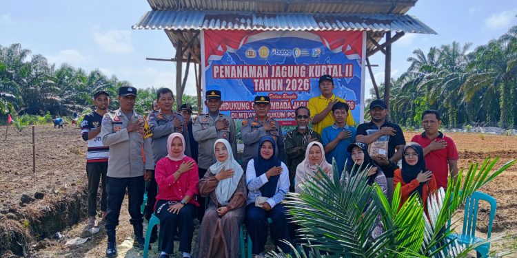 Polsek Kampar Dukung Program Ketahanan Pangan, Tanam Bibit Jagung Pipil di Desa Sendayan