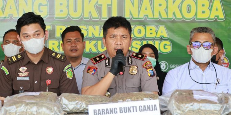 Wakapolres Kuansing Pimpin Pemusnahan 17,7 Kg Ganja, Tegaskan Komitmen Berantas Narkoba