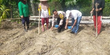 Polsek Kuantan Tengah Dukung Program Ketahanan Pangan, Penanaman Jagung Pipil Dilaksanakan di Pulau Banjar Kari