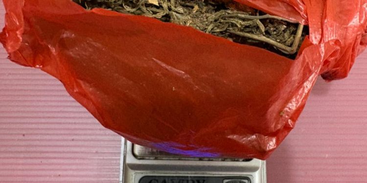 Miliki Ganja Kering, Polsek Rambah Hilir Tangkap Seorang Pria di Dusun Kulim Jaya