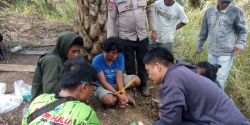 Narkoba di Pedalaman Inhu, Polsek Batang Cenaku Ringkus Pria di Desa Anak Talang