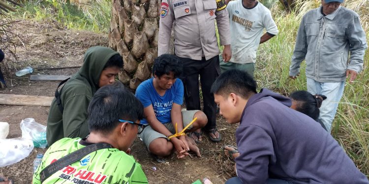 Narkoba di Pedalaman Inhu, Polsek Batang Cenaku Ringkus Pria di Desa Anak Talang