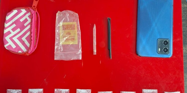 Polres Rokan Hulu Tangkap Pengedar Sabu di Desa Babussalam, 8 Paket Barang Bukti Diamankan