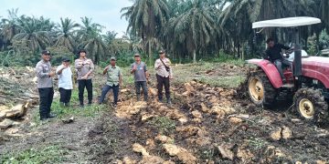 Dukung Ketahanan Pangan Polsek Singingi Hilir Melakukan Penggemburan Lahan Tumpang Sari Untuk Penanaman Jagung Pipil