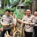 Dukung Ketahanan Pangan Wadir Binmas Polda Riau dan Kapolres Siak Ikut Panen Jagung di Empang Pandan
