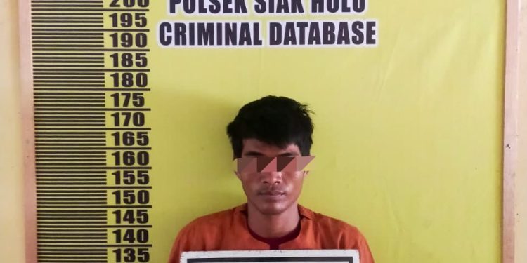 Polsek Siak Hulu Tangkap Pelaku Penggelapan Sepeda Motor