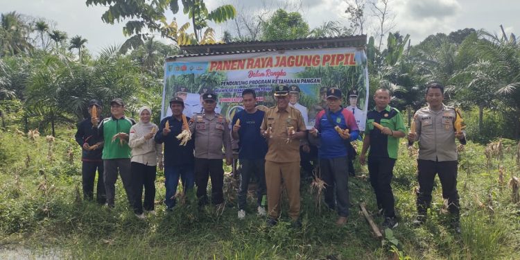 Kolaborasi Polres Inhu Bersama Usaha Desa, Perkuat Ketahanan Pangan Melalui Jagung Pipil