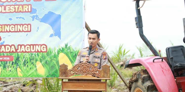 Dukung Ketahanan Pangan Nasional, Polres Kuansing Tanam Jagung 10 Hektar di Lahan PT Adimulia Agrolestari