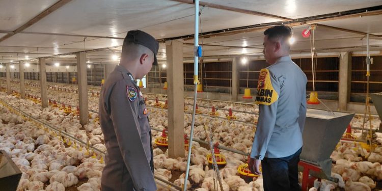 Kunjugan Bhabinkamtibmas Polsek Kelayang, Modernisasi Ketahanan Pangan Masa Depan