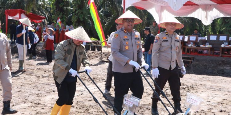 Polres Kampar Bersama Koppsa-m Tanami 10 Hectar Lahan Dengan Jagung, Garap Ketahtanan Pangan Sejak Akarnya