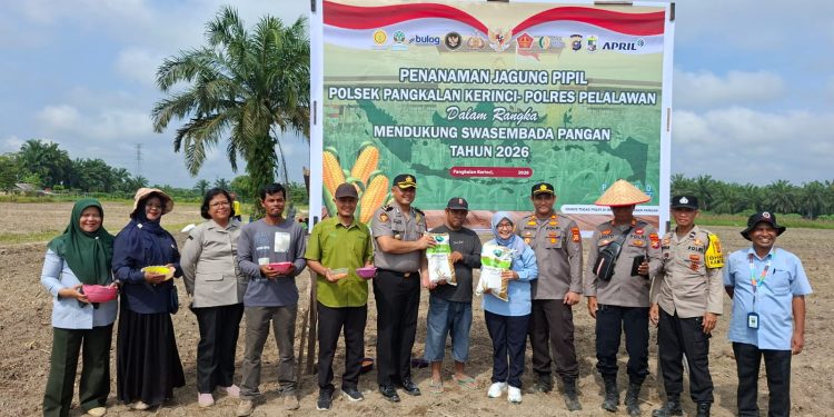 Polsek Pkl Kerinci Tanam Jagung 3 Hektar di Km 55: Dukung Swasembada Pangan Presiden RI