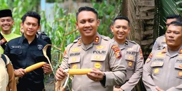 Kapolres Siak AKBP Sepuh Ade Irsyam Siregar Instruksikan Polsek Jajaran Dukung Perkuatan Ketahanan Pangan Dengan Fokus Pada Perkembangan Perkebunan Jagung Pipil 