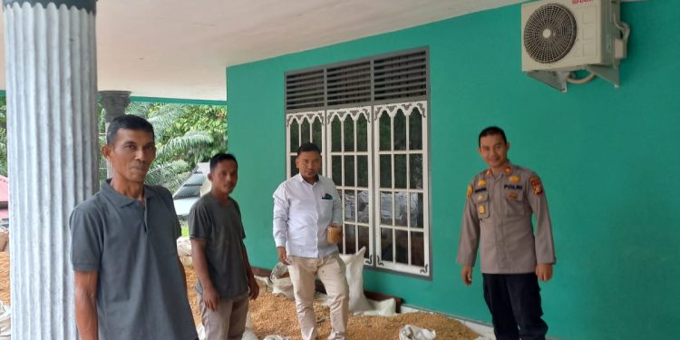 KAPOLSEK TAPUNG HILIR PERIKSA HASIL PANEN JAGUNG, 6 DESA HASILKAN 4 TON UNTUK PROGRAM KETAHANAN PANGAN