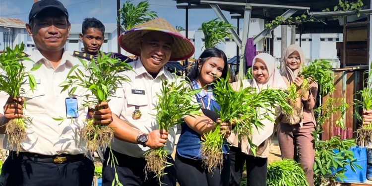 Panen Kangkung Wujudkan Ketahanan Pangan di Lapas Narkotika Rumbai