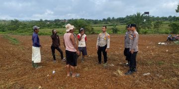 Polres Rokan Hulu Tinjau Lahan Jagung, Matangkan Persiapan Panen Serentak untuk Dukung Swasembada Pangan Nasional