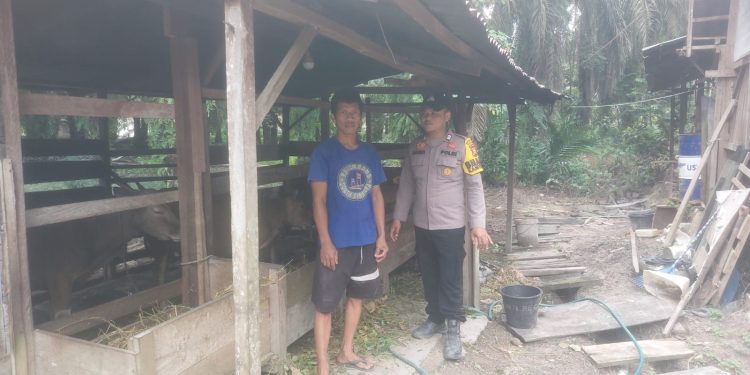 Personel Polsek Kelayang Pantau Langsung Kepeternak, Swasembada Pangan Daging Dapat Tercapai
