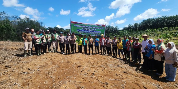 Polsek Rambah Tanam Jagung 1,5 Hektare di Pasir Intan, Dukung Swasembada Pangan 2026
