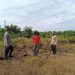 WUJUDKAN SWASEMBADA PANGAN, POLSEK TAPUNG CEK LAHAN UNTUK TANAM JAGUNG PIPIL