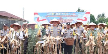 Panen Raya Jagung di Pekanbaru, Polda Riau Tegaskan Komitmen Kawal Swasembada Pangan Nasional