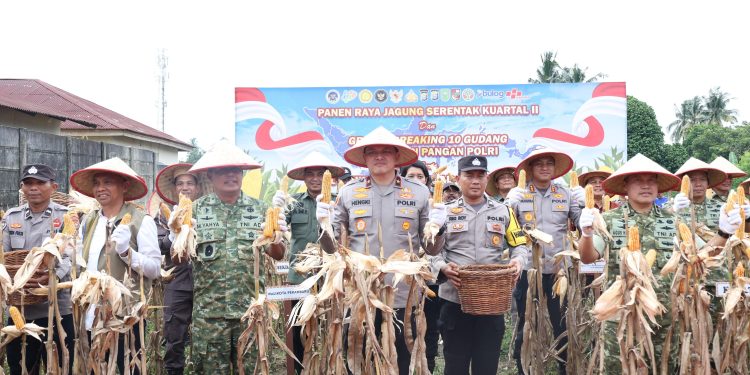 Panen Raya Jagung di Pekanbaru, Polda Riau Tegaskan Komitmen Kawal Swasembada Pangan Nasional