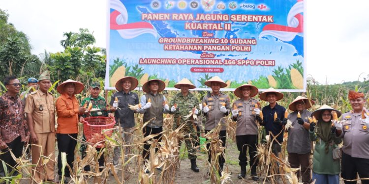 Presiden Prabowo Resmikan Program Polri Untuk Swasembada Pangan – Polres Kampar Gelar Panen Jagung & Penanaman Pohon Sebagai Wargaharian