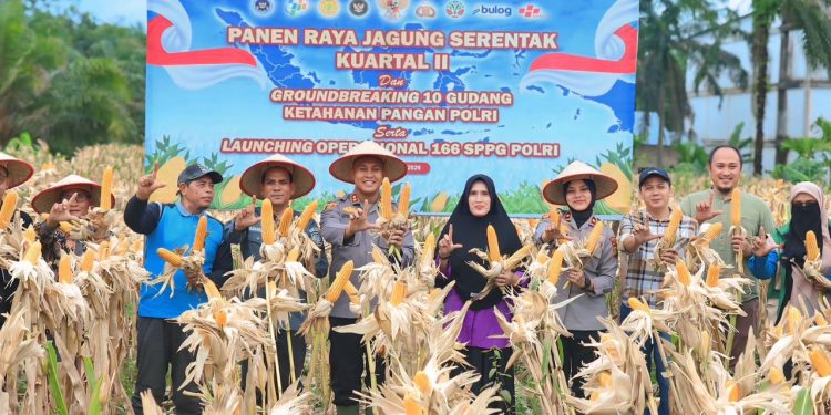 Dukung Swasembada Pangan Nasional, Polres Siak Gelar Panen Raya Jagung Serentak di Lubuk Dalam