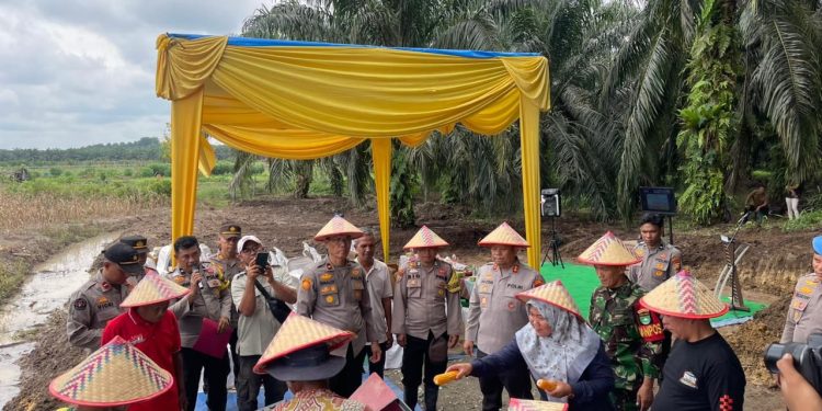 Panen Raya Jagung serentak Kuartal II Tahun 2026 mendukung Ketahanan Pangan