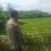 Polisi Cinta Petani, Polsek Pangean Cek Perkembangan Tanaman Jagung di Desa Padang Kunik