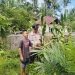 Polsek Hulu Kuantan Cek Perkembangan Tanaman Jagung Ketahanan Pangan di Desa Tanjung