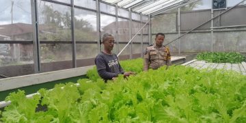 Polri Cinta Petani, Polresta Pekanbaru Melalui Polsek Limapuluh Turun Langsung Cek Kebun Sayur Organik Warga