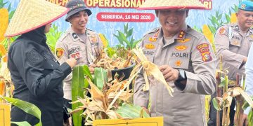 Panen Jagung Pipil Kuartal II Ketahanan Pangan Bersama Presiden, Ini Pesan Kapolres Dan Bupati Inhu