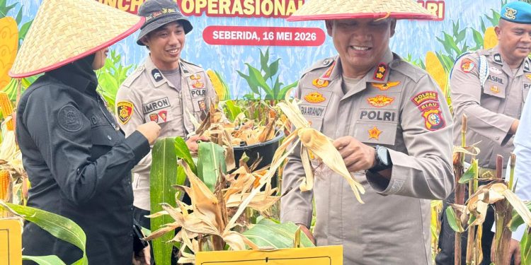 Panen Jagung Pipil Kuartal II Ketahanan Pangan Bersama Presiden, Ini Pesan Kapolres Dan Bupati Inhu