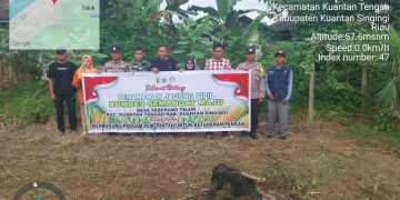 Polsek Kuantan Tengah Dukung Ketahanan Pangan Melalui Penanaman Jagung Pipil di Seberang Taluk