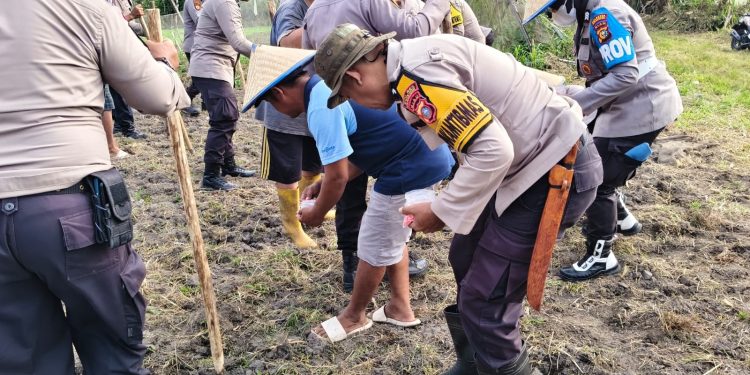 Kegiatan program ketahanan pangan penanaman jagung pipil oleh Polsek Senapelan.