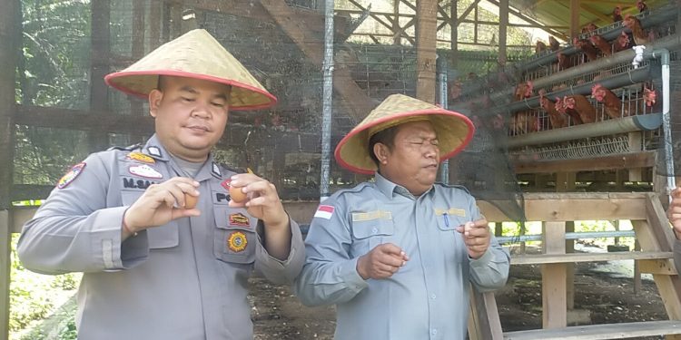 POLSEK KAMPAR KIRI HILIR GELAR PROGRAM P2B DI DESA PENGHIDUPAN – BUAT KANDANG AYAM PETELUR UNTUK KETAHANAN PANGAN BERGIZI