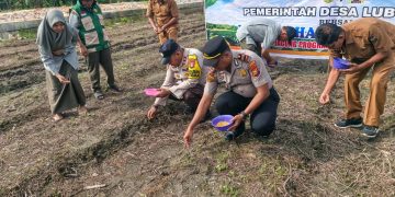 Polsek Perhentian Raja Garap 0,5 Hectare Lahan Untuk Penanaman Jagung Pipil – Dukung Swasembada Pangan 2026 Bersama Kelompok Tani