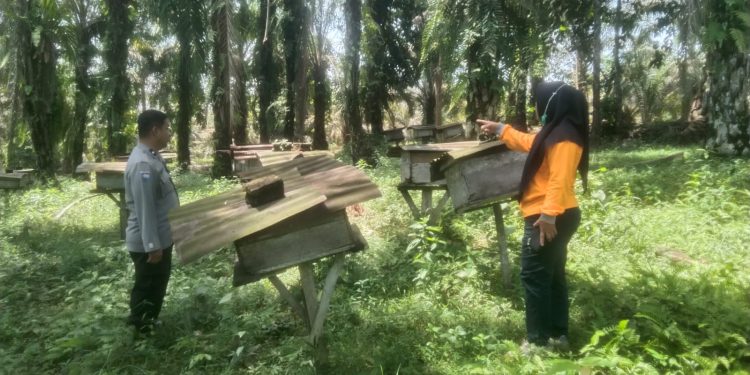 DDS Bhabinkamtibmas Polsek Kelayang, Polisi Cinta Petani dan Manisnya Madu